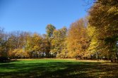 Paszkówka -park obok pałacu Wężyków