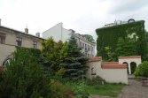 Ogródki na tyłach kamieniczek