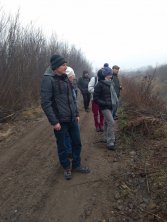 Podziwiamy prace bobrów