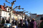 Rynek w Pszczynie