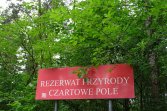 Rezerwat Przyrody Czartowe Pole