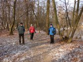 Fort 52 Borek