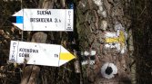 Rozwidlenie szlaków pod Stańkową /666/. Błąd w opisie czasu na Koskową Góre ma być 2h.