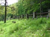 Cmentarz wojenny nr 300 pod Kobyłą