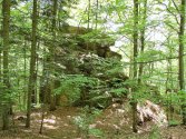 Rezerwat Bukowiec.