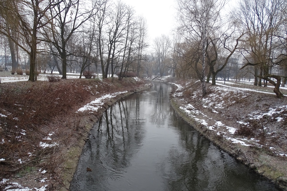 Czarna Przemsza w Sosnowcu
