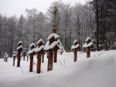 Cmentarz woj. na Górze Małastowskiej.