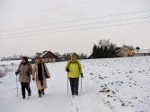 Wychodzimy z Krzysztoforzyc, ostatnie zagrody.
