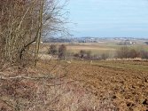 Stadko saren i kończą się przyjemności.