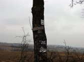 Tu już zaczyna być lepiej ze znakami. Reklam nie brakuje.