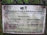 Było . Czy się odrodzi po spaleniu ?