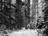 fot: Alicja Olender