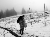 fot: Alicja Olender