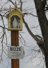 Na zielonym szlaku między Łukowicą a Limanową