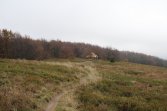 Wielki Dział