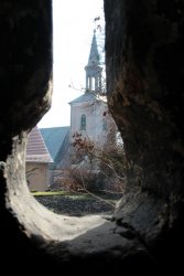 Widok na wieżę kościoła pw. św. Katarzyny Aleksandryjskiej z zamku w Toszku.w Toszku.