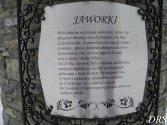 byk w Jaworkach