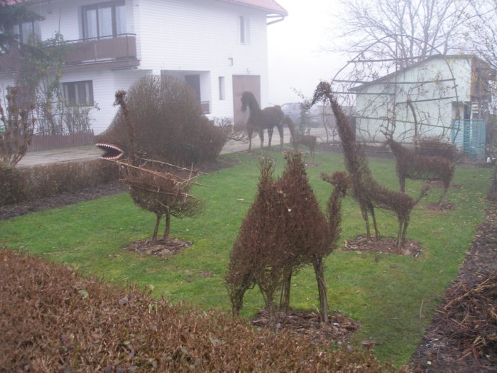 roślinne zoo