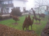roślinne zoo