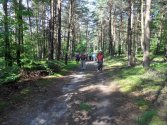 Szlak prowadzi nas pięknymi lasami Jury
