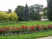 park pałacowy