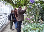 paparazzi i kibice